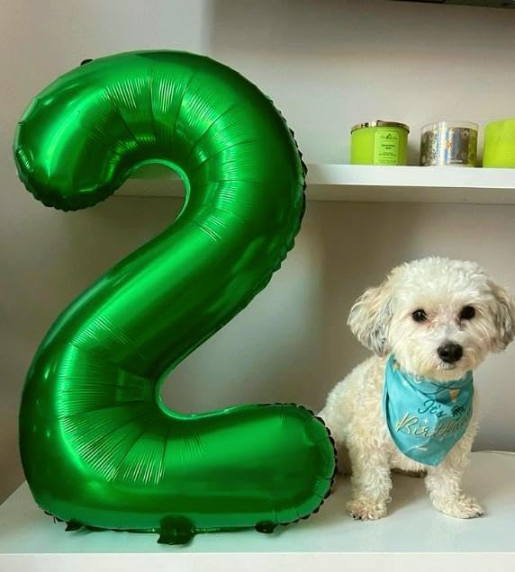 Green 40 Inch 20 Number Balloons, 20 Decorations for 20 Birthday, Foil Giant Birthday Graduations Anniversary Party Balloons