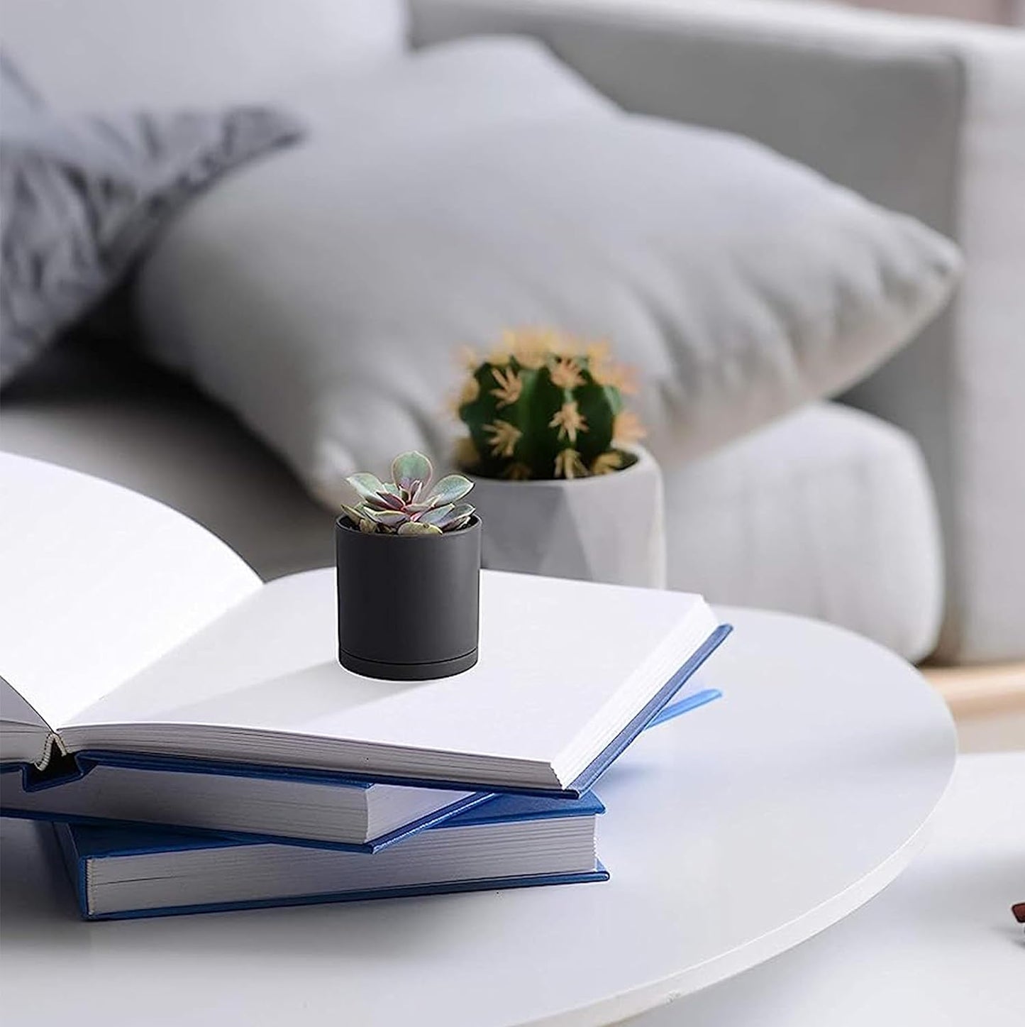 D'vine Dev 24 Pack 2 Inch Mini Plastic Plant Pots, Small Garden Planters for Plant with Drainage Holes and Saucers, Black Color, 74-Y-A-6