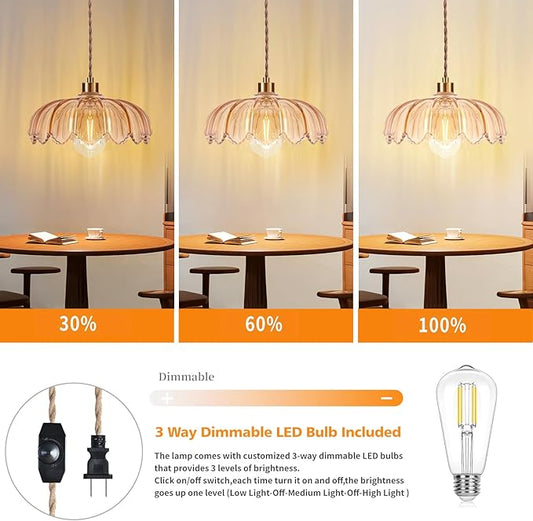 QIYIZM Plug in Pendant Light Hanging Lights - Image 2