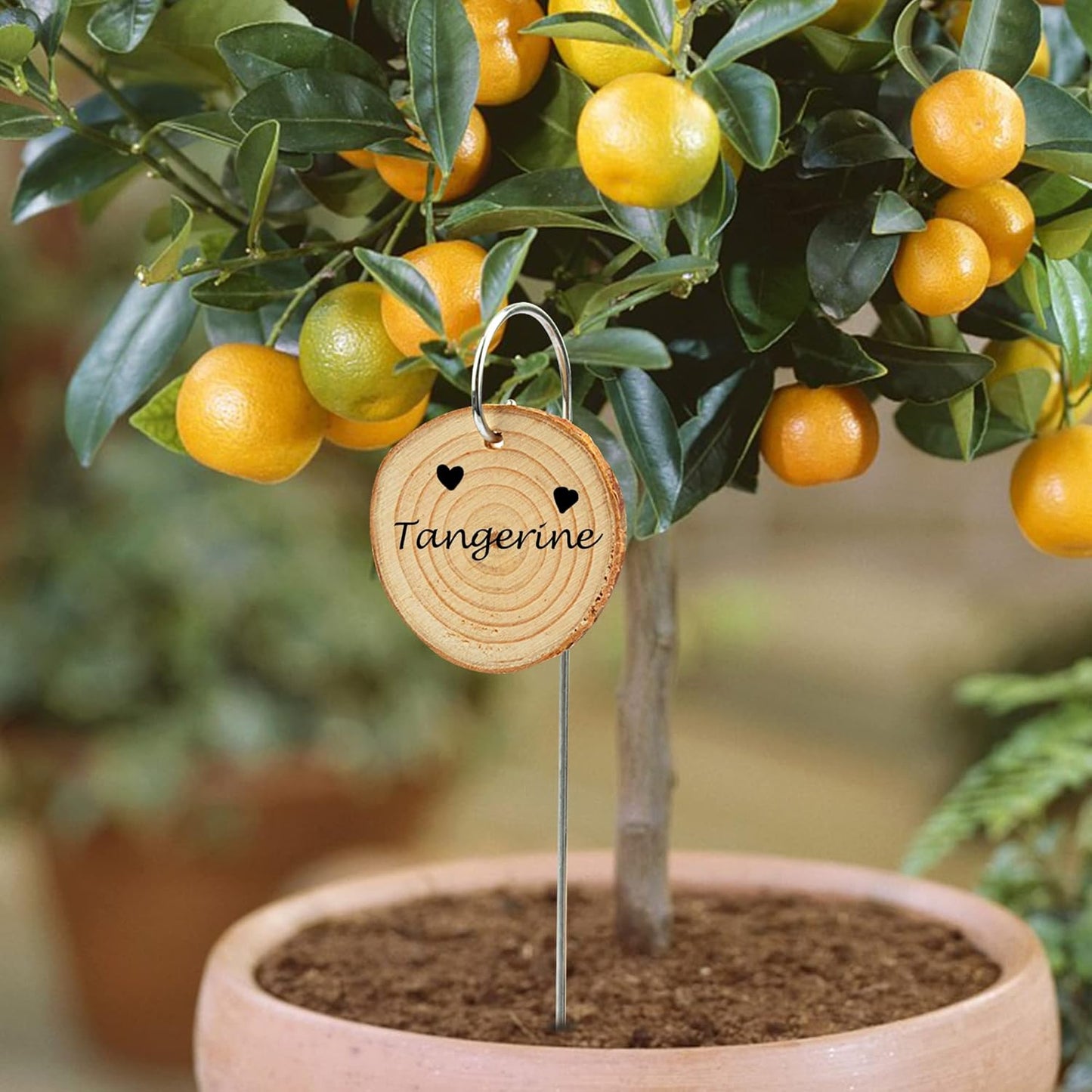 Temlum Wooden Plant Labels with Marker Pen, 25 Pcs Garden Markers Garden Label Stakes Plant Sign Tags for Flowers, Herbs, Potted Plants, Seed