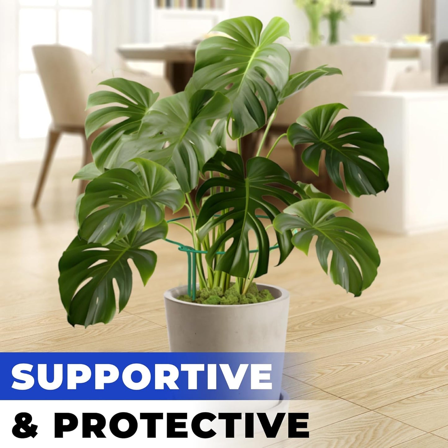 Tall Plant Support Stakes for Indoor and Outdoor - Peony Cages and Supports - Plant Cage Ring for Potted Flower - Peony, Tomato, Hydrangea, Rose Bush 10" W x 16" H (6 Pack)