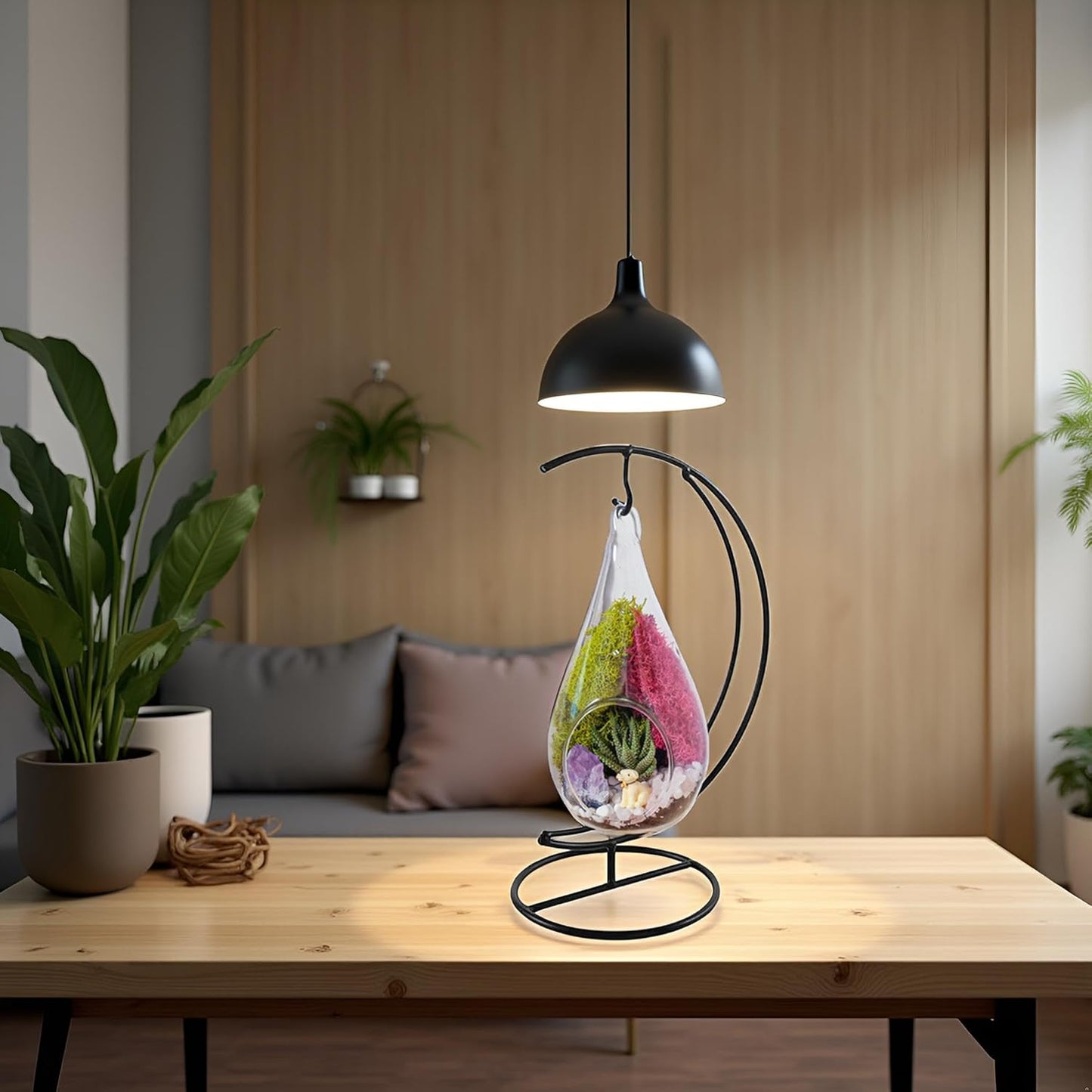 7" DIY Teardrop Terrarium Kit with Live Plants - Hanging Glass Planter with Stand for Adults & Kids - Build a Mini Ecosystem with Moss, Crystals, Tools - Made in The USA