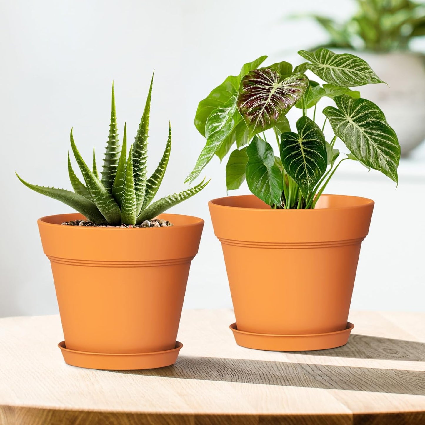 7 Inch Thick Plastic Plant Pots with Drainage Holes and Trays – 6 Pack Nursery Pots for Indoor & Outdoor House Plants, Seedling Starter Planters for Garden Flowers, Terracotta