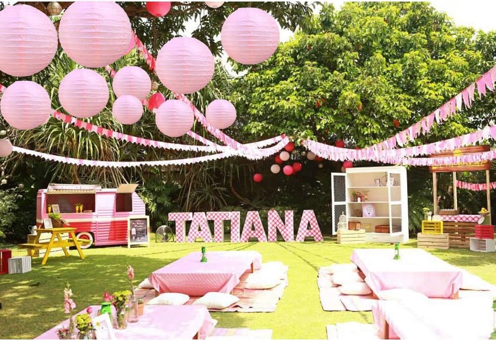 BEISHIDA Pink Round Paper Lanterns Hanging Decorative Chinese Paper Lanterns Lamp for Valentine Birthday Wedding Party Decoration and Baby Bridal Shower(10 Packs)