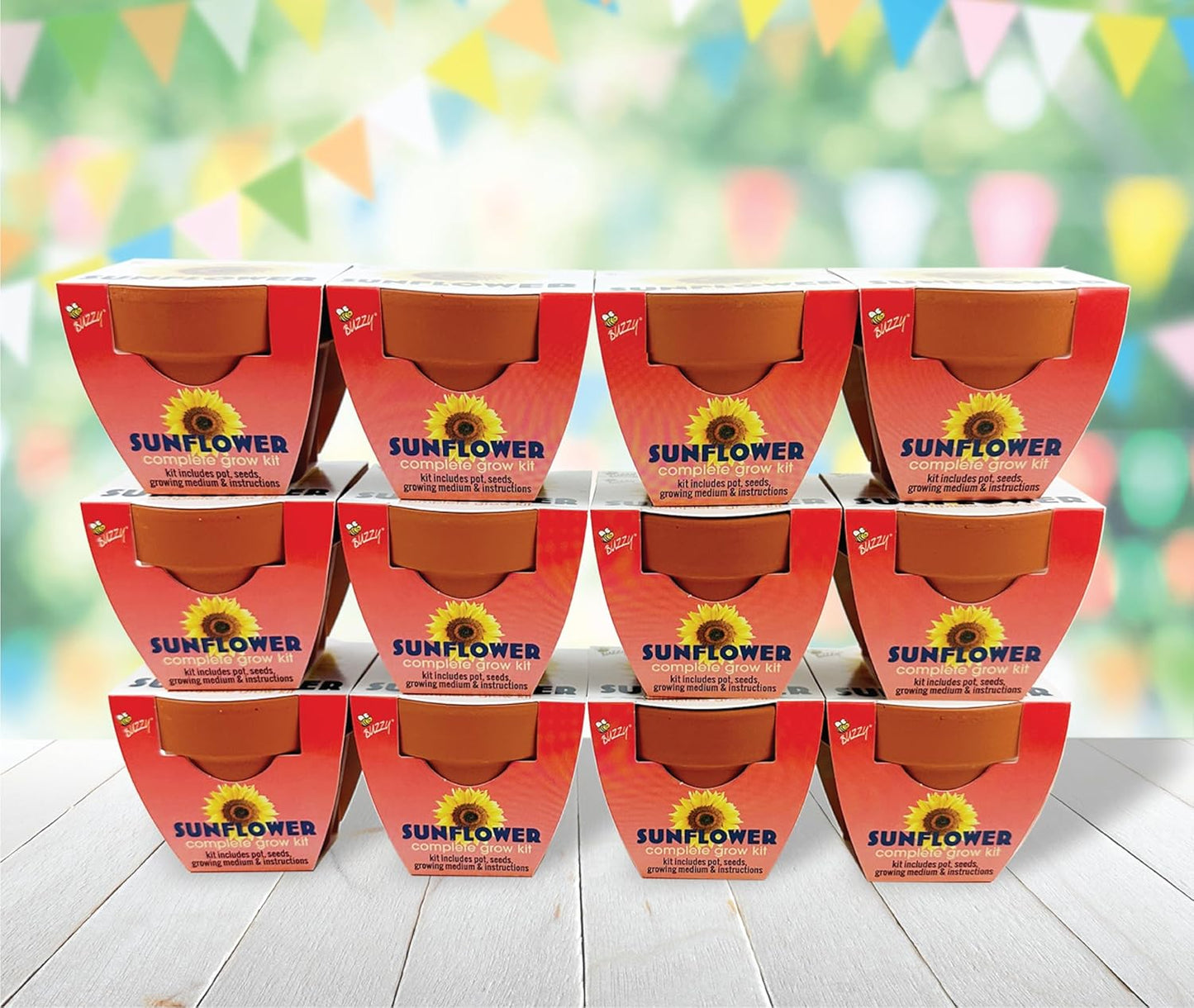 BUZZY Seeds Sunflower 12 Pack Terracotta Mini Grow Pots, Flower Planting Seed Starter Kit for Kids and Adults, Classic Collection Includes Easy Instructions for Growth Success, Gardening Gift