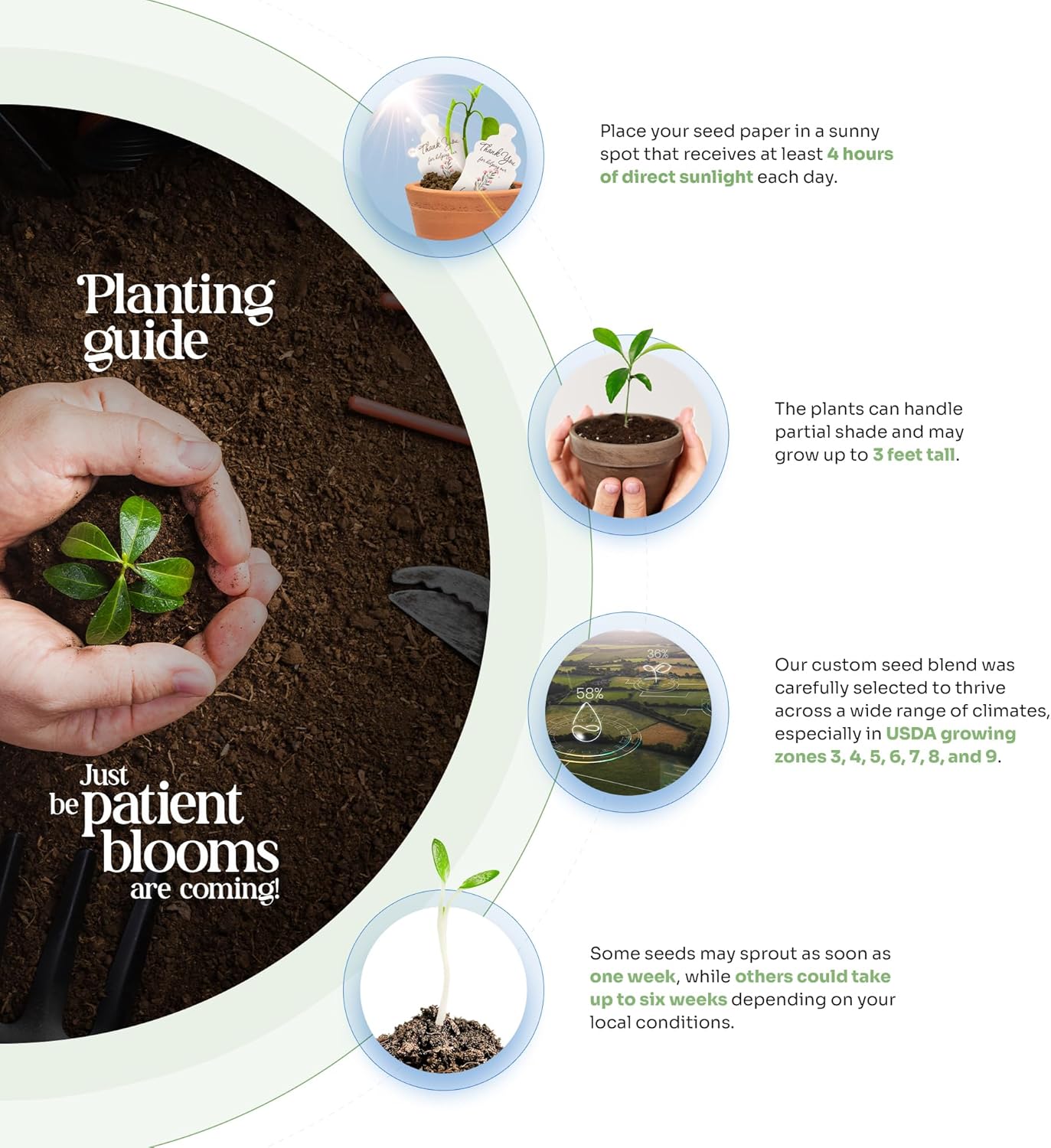 Set of 6 Seed Paper – 6 Green Onesie & 6 Orange Pots with Stickers for Baby Shower, Gender Reveal, Birthday, Mother's Day & Other Milestone Celebrations