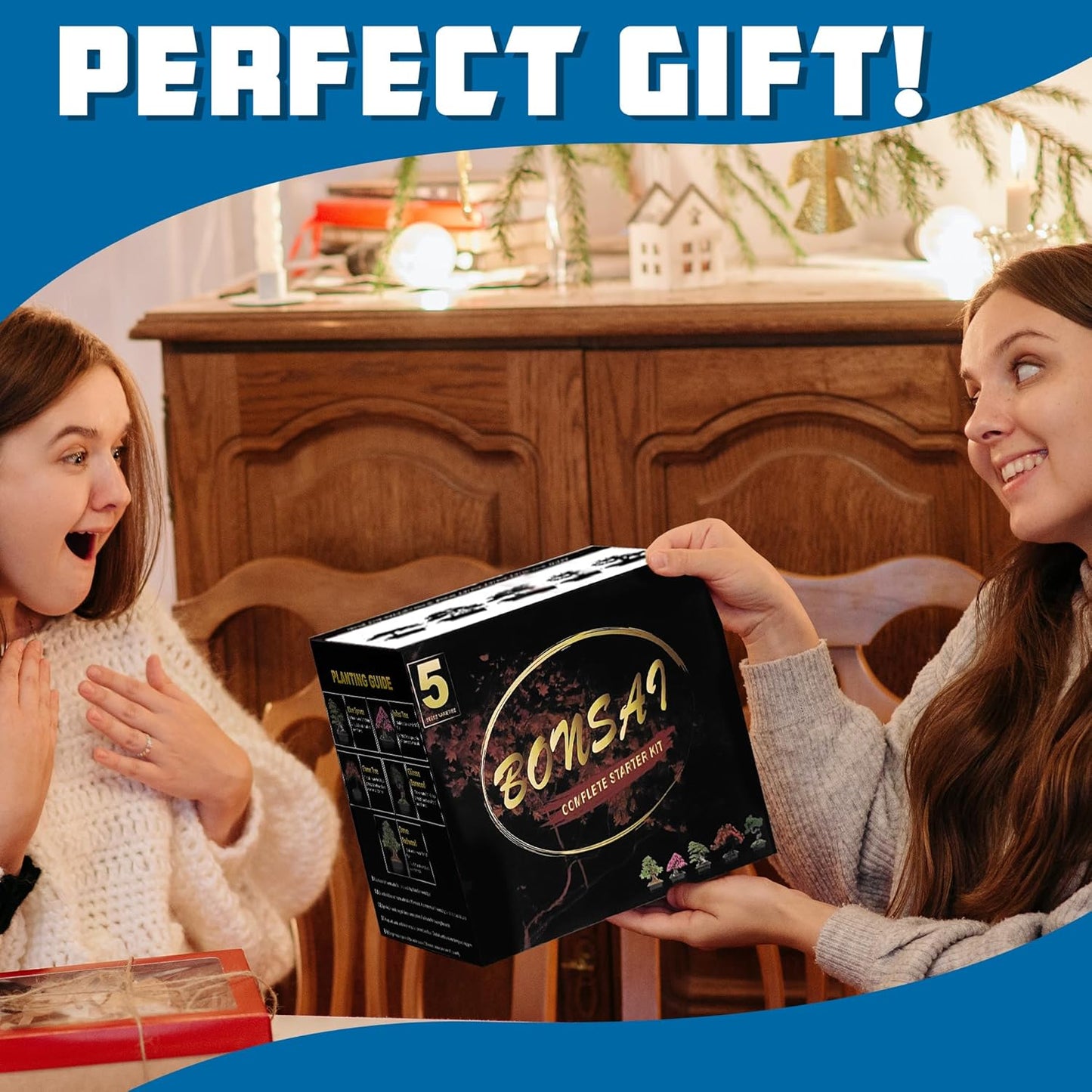 Bonsai Starter Kit, 5 Seeds Growing into Blue Spruce, Chinese Boxwood, Dawn Redwood, Flame Tree and Judas Tree, Including Complete Gardening Tools with A Gift Box, Christmas Gifts for Women