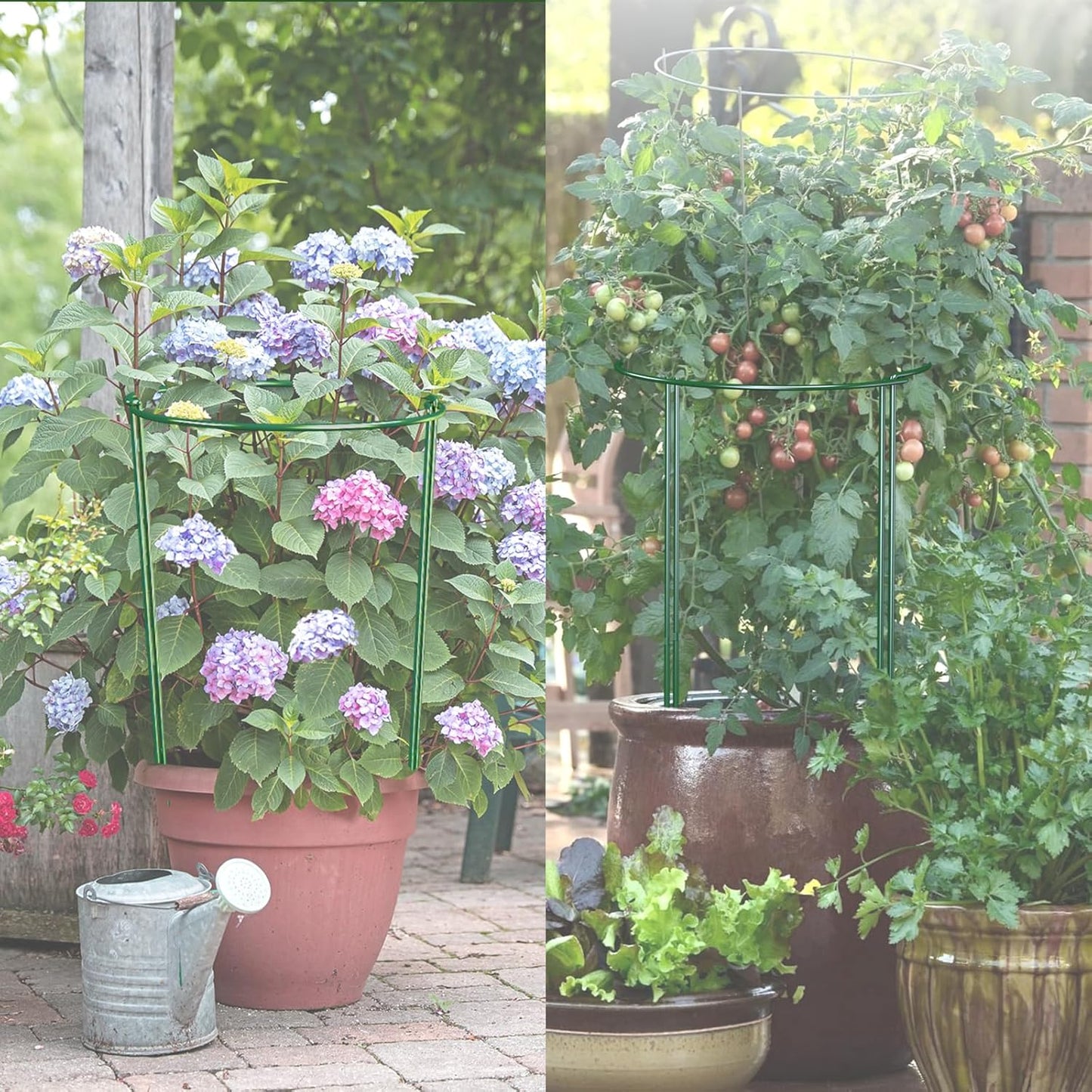 6 Pack 30 inch Plant Support Stakes, Heavy-Duty Half Round Peony Support, Garden Plant Stakes Cage for Outdoor Plants, Peony, Tomato, Hydrangea, (15In Support +15In Stainless Extension Tubes)