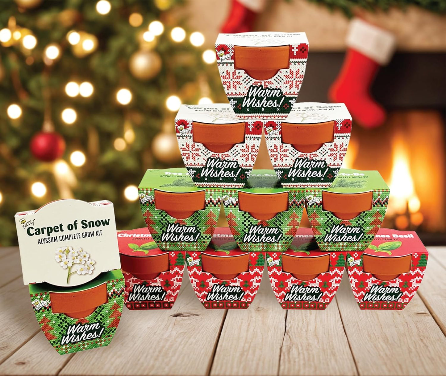 BUZZY Seeds Holiday Mini Terracotta Pots Grow Kit, 12-Pack Assorted Christmas Basil, Spruce, and Alyssum Seed Packets, Indoor Plant Starter Set, Stocking Stuffers, Party Favors