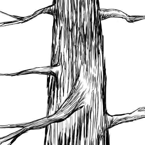 Guestbook Tree Signature Pine Tree with Watercolor for Wedding, Guest Books Guest Sign in