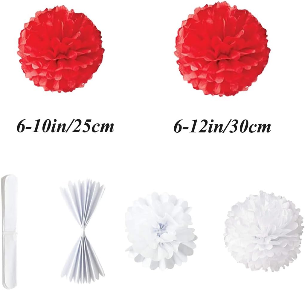 12pcs 10in 12in Red Paper Pom Poms Tissue Paper Flower Hanging Paper Flower Balls Wedding Party Flower Decorations DIY Art Craft Blooms for Birthday Baby Shower Nursery Decor