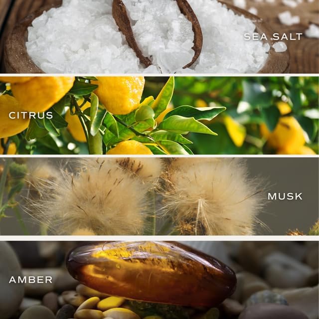 Sweet Water Decor Smells Like Best Auntie Ever Candle 9oz, Non-Toxic Soy Wax, Glass Jar with Gold Lid, Sea Salt Citrus Scent, Gift for New Aunt, Pregnancy Reveal, Baby Shower, Birthday & Mother’s Day