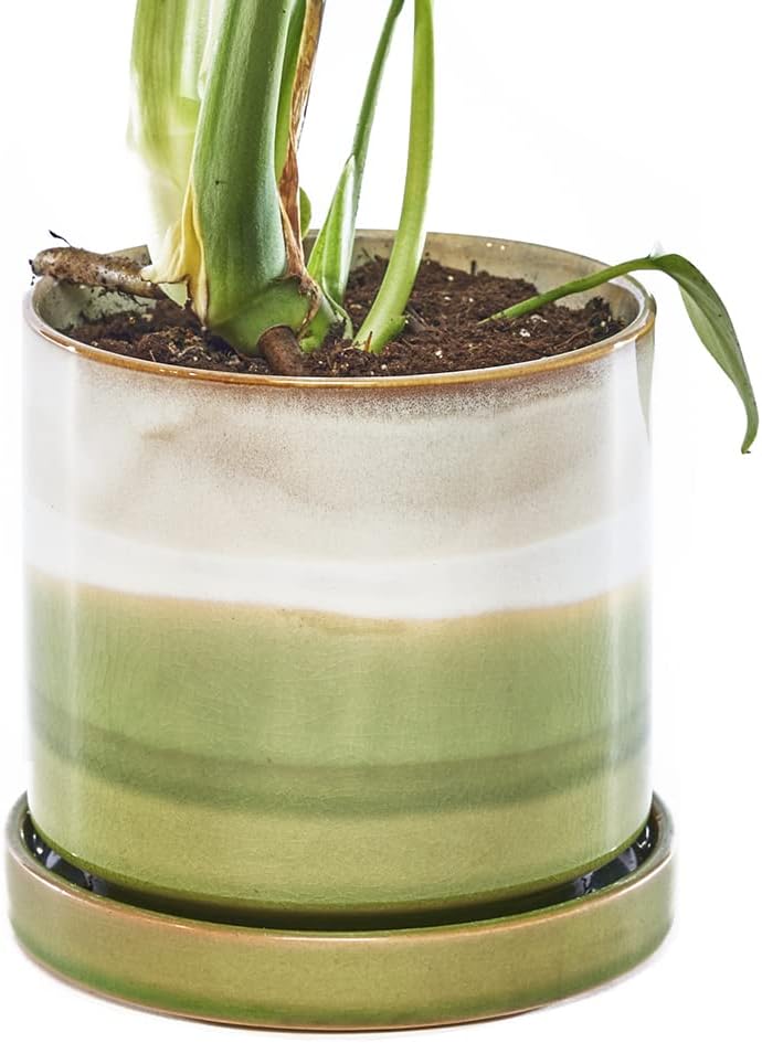 CHIVE ‘Minute’ Ceramic Planter Pot — Cute 5” Colorful Succulent Pots for Indoor & Outdoor House Plants — Beautiful Modern Farmhouse Kitchen Decor — Green Layers