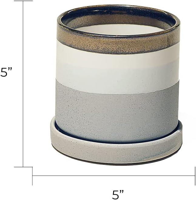 CHIVE ‘Minute’ Ceramic Planter Pot — Cute 5” Colorful Succulent Pots for Indoor & Outdoor House Plants — Beautiful Modern Farmhouse Kitchen Decor — Mocha Cement