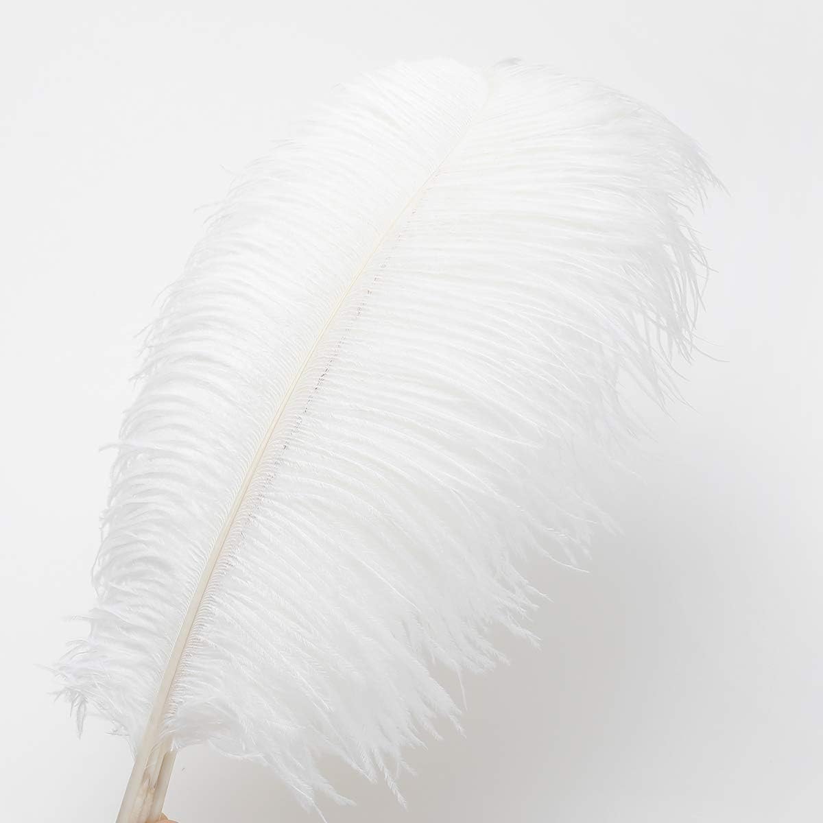 Ballinger Large White Ostrich Feathers - 24Pcs 12-14inch Large Feathers for Vase,Party Centerpieces,Wedding and Home Decor