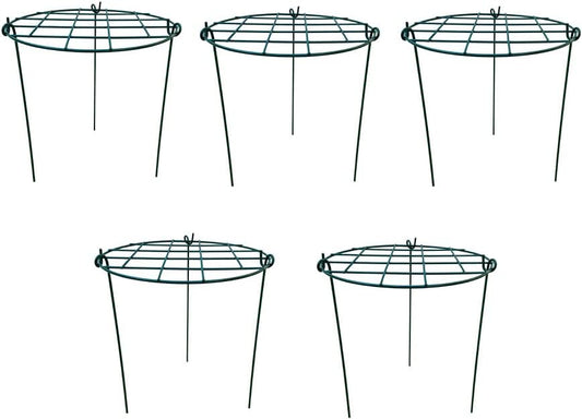 12 x 16 inch Poeny Cage Grow Through Grid Plant Brace Flower Support Rings, Pack of 5 Round Metal Plant Stakes Rings, Strong Large Garden Supports for Flowers, Peonies, Rose, Lily