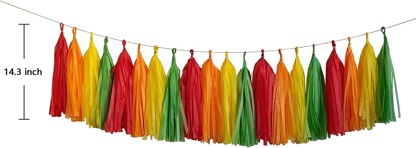 ZOOYOO Fiesta Tassel Garland Tissue Paper Tassel Banner,Table Decor,DIY Kits for Fiesta Party, Tassels Party Decoration,Pack of 20(Red,Orange,Yellow,Green)