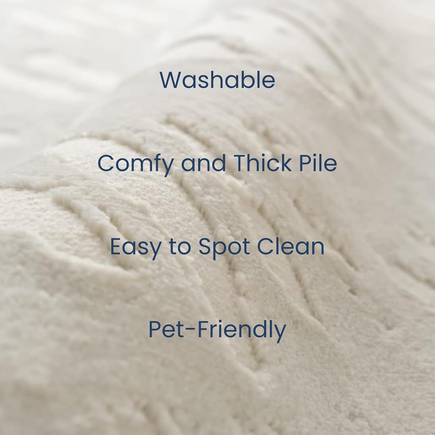 Revival Rugs Shell 2'7"x4'11" Machine Washable Area Rug for Kitchen Bedroom - 100% Recycled Oeko-TEX Certified, Medium Pile, Beige, Cream