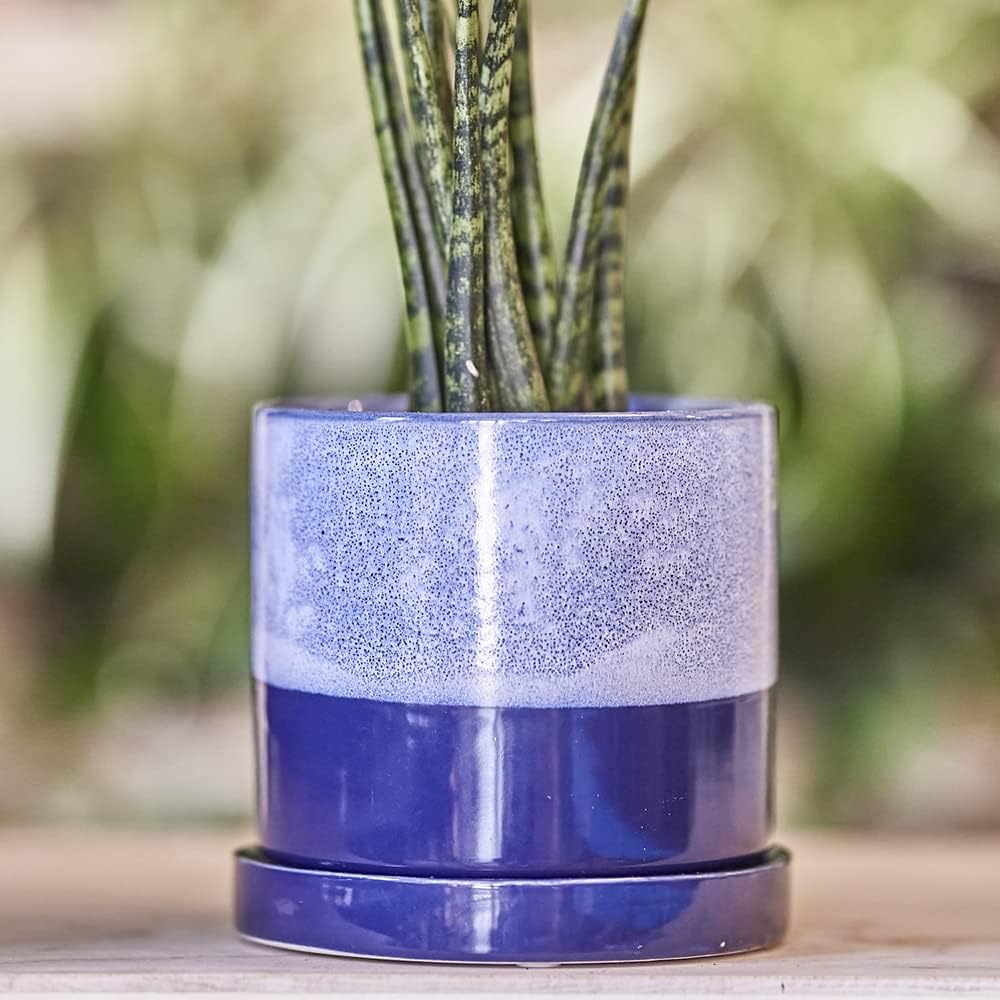 CHIVE ‘Minute’ Ceramic Planter Pot — Cute 5” Colorful Succulent Pots for Indoor & Outdoor House Plants — Beautiful Modern Farmhouse Kitchen Decor — Cobalt Blue