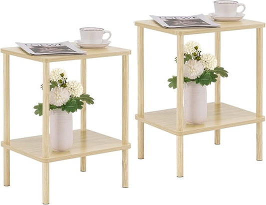 Apicizon 2 Tier End Table Set of 2, Small Side Table by APICIZON