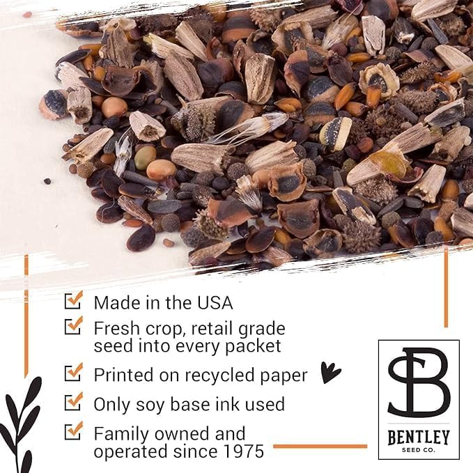 Bentley Seed Co. | Earth Day Planet Pollinator Flowers | Illustrated Bee Butterfly Flower Seed Packets | Environmental Favors for Events | Wildflower Mix Seed | Eco-Friendly Hand Out Gift | 25 Pack