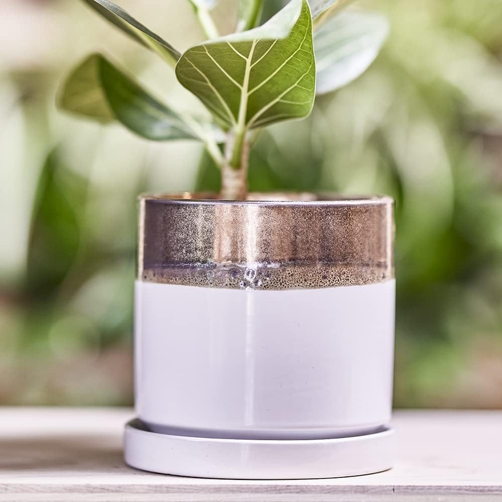 CHIVE ‘Minute’ Ceramic Planter Pot — Cute 5” Colorful Succulent Pots for Indoor & Outdoor House Plants — Beautiful Modern Farmhouse Kitchen Decor — Bronze and White