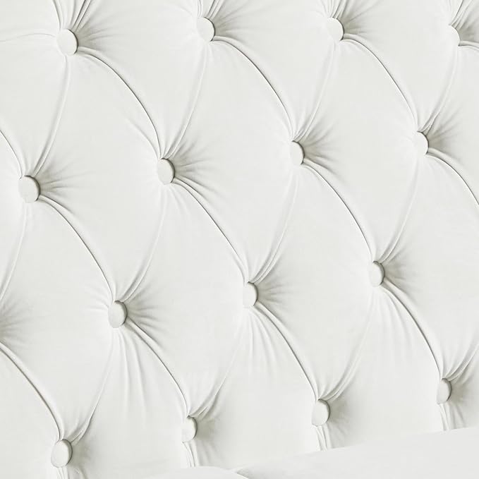 LEVNARY Chesterfield Loveseat Velvet, Upholstered Sofa - Image 5