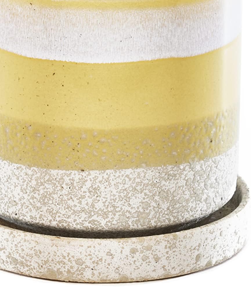 CHIVE - Minute, Succulent, Cactus Pot and Saucer Ceramic Flower and Plant Container with Drainage Hole and Detachable Saucer Great for Indoor/Outdoor Garden Decor (Yellow)