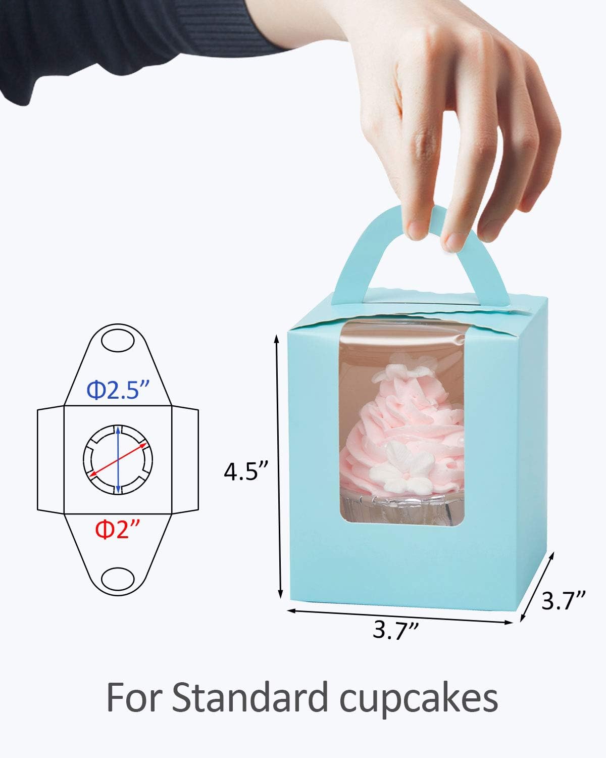 qiqee Light Blue Cupcake Boxes Individual Cupcake Holders Disposable 50pcs Single Cupcake Boxes with Window 3.6 * 3.6 * 4.3inch Cupcake Containers