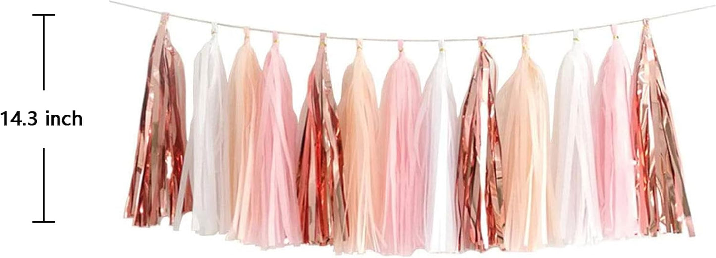ZOOYOO Pink Shiny Tassel Garland Tissue Paper Tassel Banner,Table Decor,DIY Kits for Tassels Party Decoration,Pack of 20(Rose Gold, Peach, Light Pink, White)