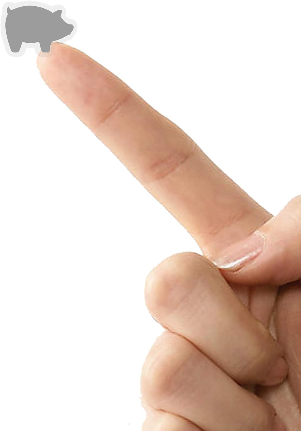 50 Wedding Meal Stickers - Food Identifier & Menu Choice Place Cards for Party Seating - Meal Option Indicator (Silver, Pork)