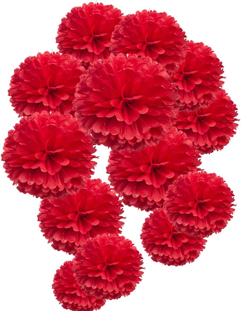 MOWO Red Paper Flower Tissue Pom Poms Party Supplies (red,12pc)