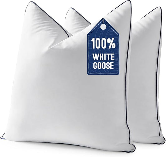MIULEE Goose Feather Down 20x20 Pillow Insert Set of 2 by MIULEE