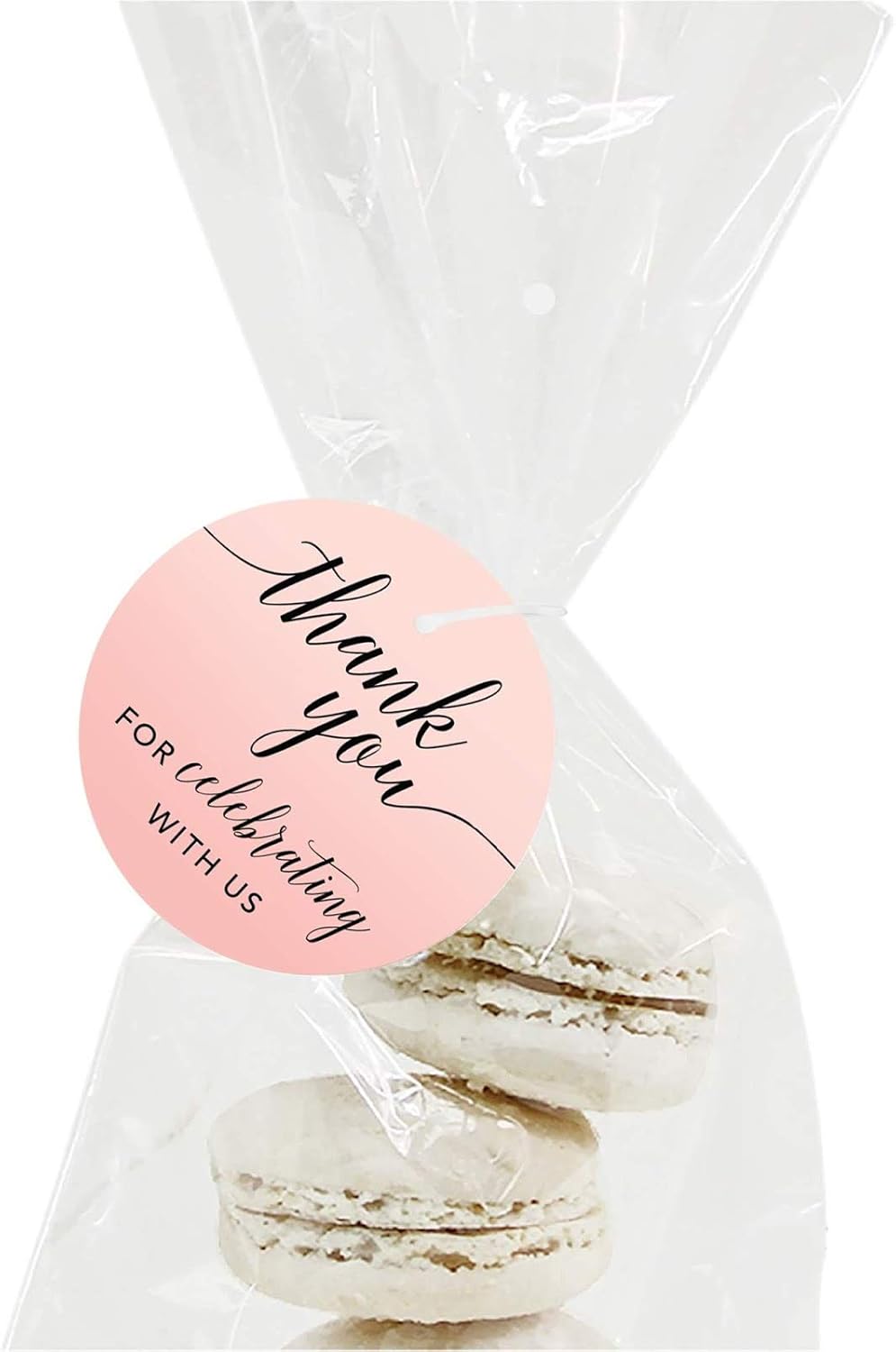 Andaz Press Blush Pink Rose Elegant Party Collection, Round Circle Tags, Thank You for Celebrating with US, 24-Pack, Favors Decor