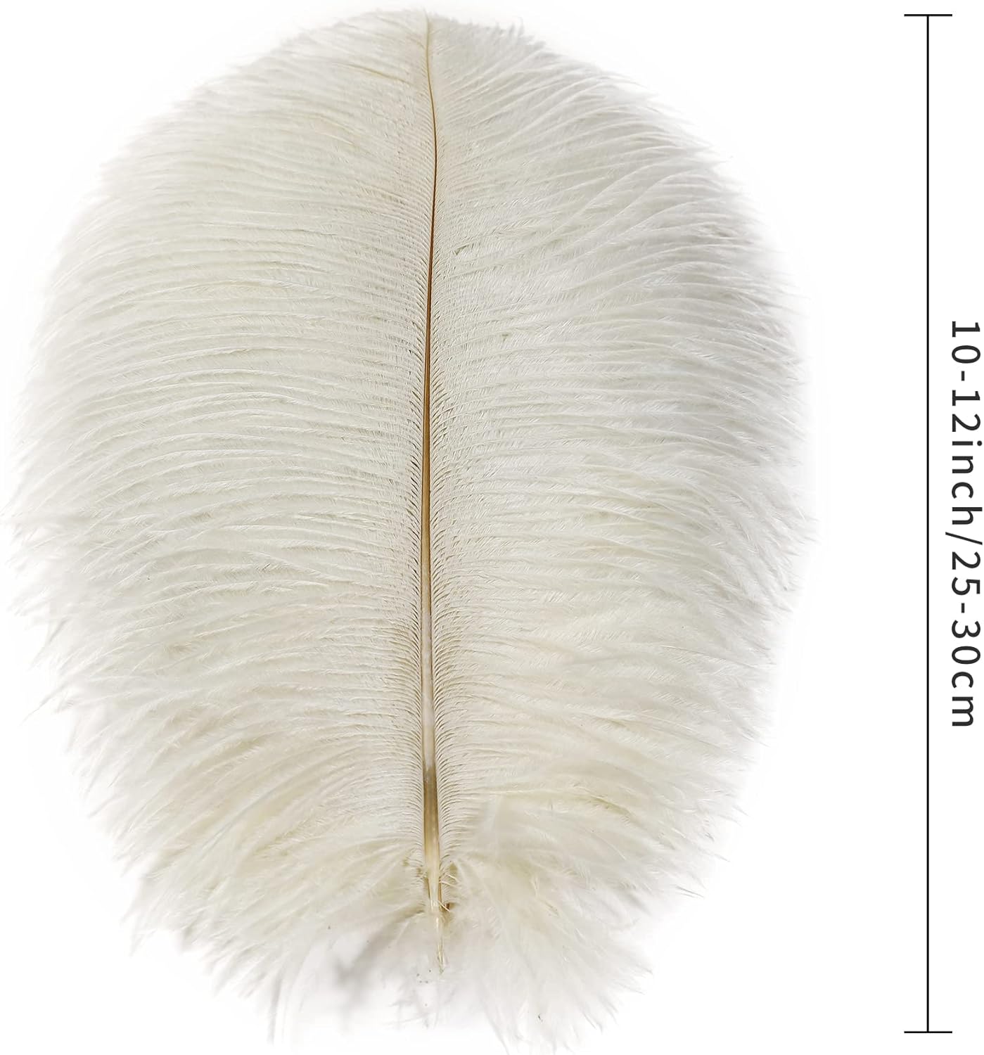 Ballinger Beige Ostrich Feathers Bulk - 24pcs 10-12inch Boho Feathers for vase，Wedding Party Centerpieces and Home Decor