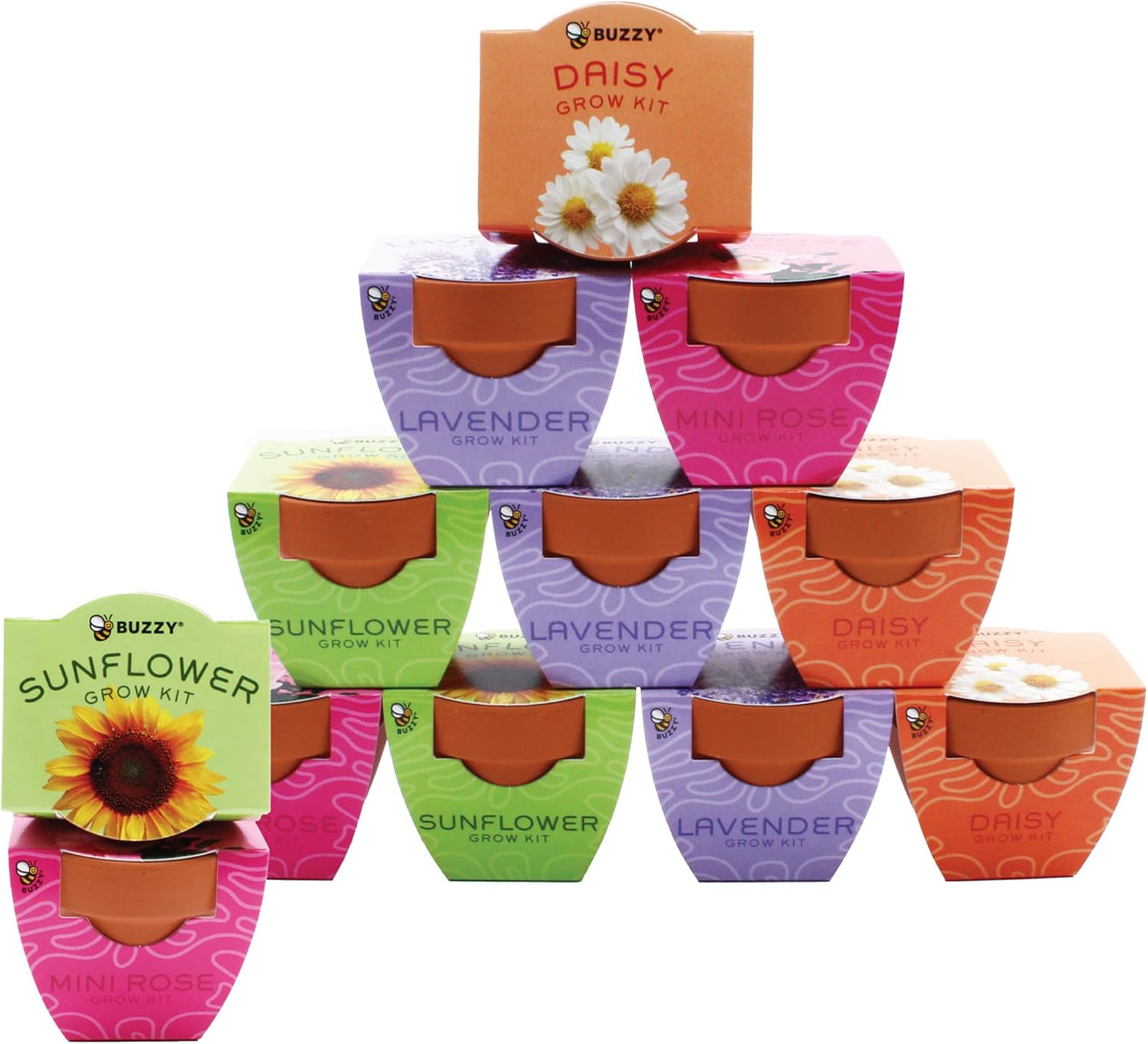 BUZZY Seeds Terracotta Mini Grow Pots | Flower Starter Kit for Kids & Adults | Assorted 12-Pack, Bright Series Collection, Daisy, Lavender, Mini Rose, Sunflower | Gardening Gift, Party Favors