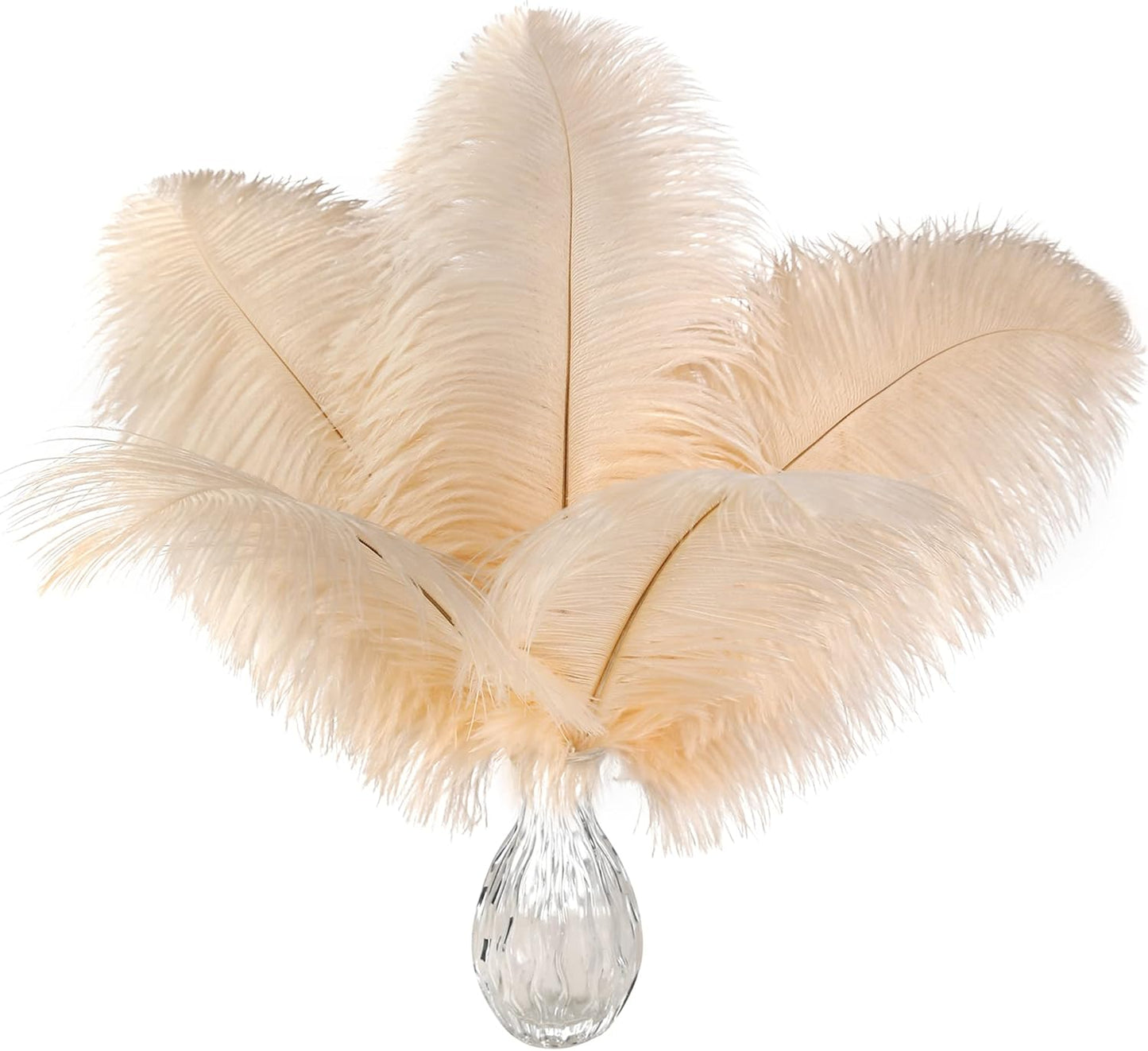 Ballinger Light Salmon Ostrich Feathers - 24pcs 10-12inch Feathers for vase，Wedding Party Centerpieces and Home Decor