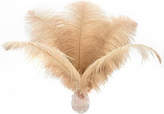 Ballinger Large Champagne Ostrich Feathers - 24pcs 12-14inch Boho Feathers for Vase and Home Decor Wedding Party Centerpieces