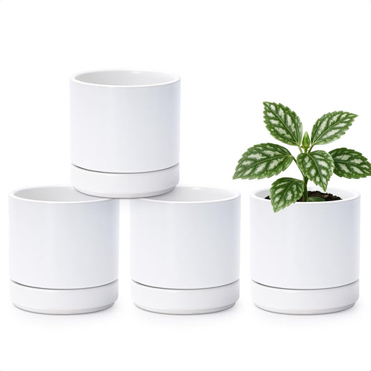 D'vine Dev Set of 4 Small Ceramic Plant Pots, 4.7 Inch Succulent Planter Pot for Plants with Drainage Hole and Saucer, White, 94-X-B-1