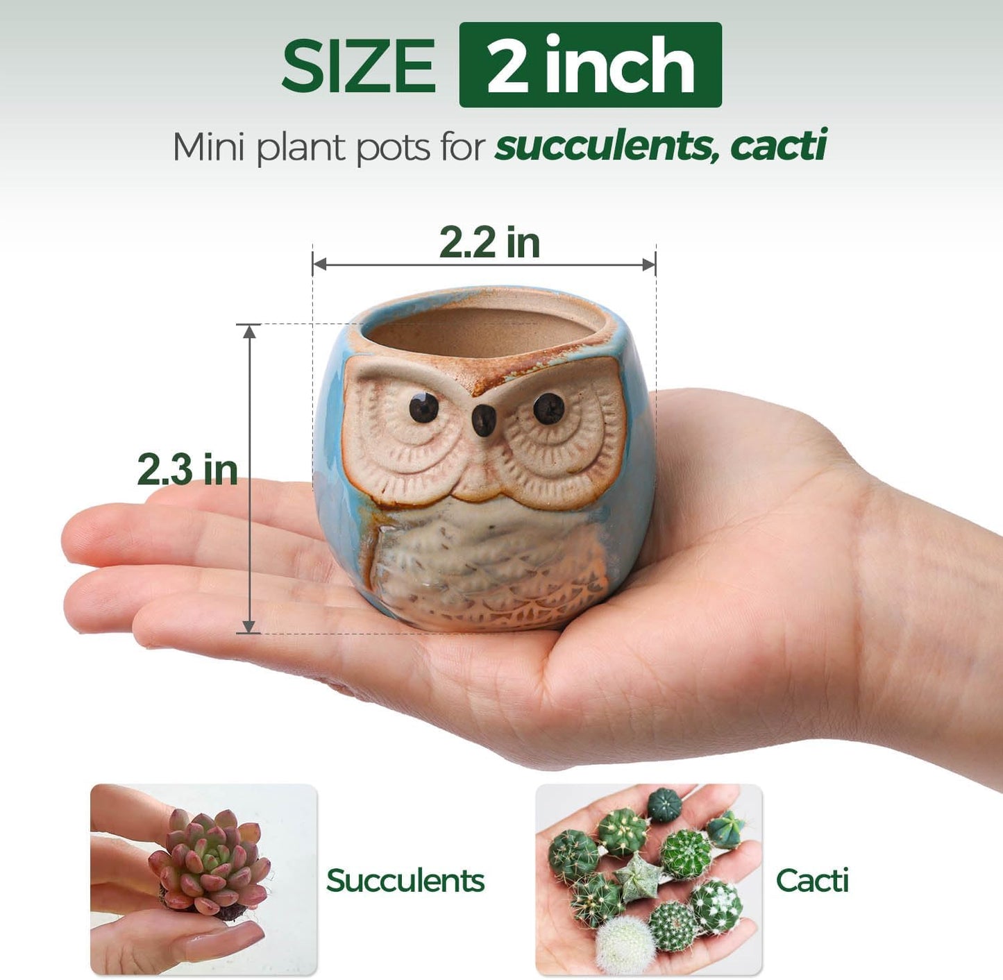 T4U 2.5 Inch Owl Ceramic Succulent Planter Pots with Drainage Hole Set of 12, Mini Cactus Pots Tiny Cute Plant Holder Container Best for Home Office Decor Gardening Gift