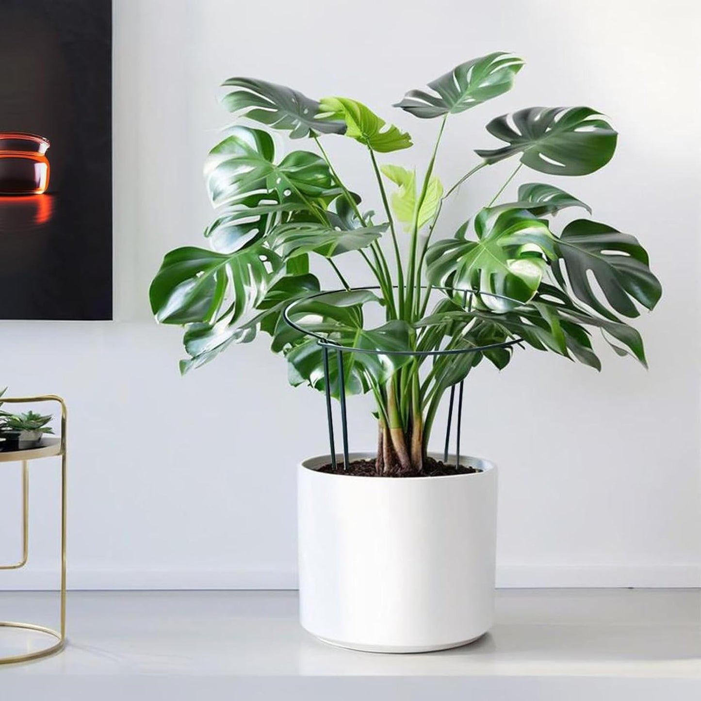 LINGHUI 12 Pack Plant Support Stakes, 10" Wide x 16" High,Heavy-Duty Half Round Peony Support Ring and Cage for Indoor and Outdoor Plants, Peony, Tomato, Hydrangea, Rose(100 Plant Ties)