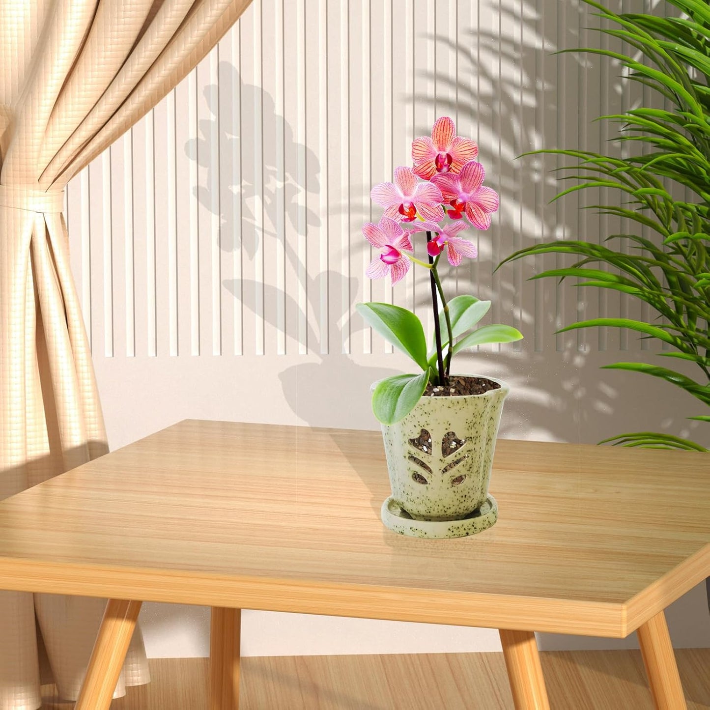 Orchid Pot 4 Inch, Ceramic Orchid Pots with Hole for Repotting, Beatiful Ice Cracked Glaze Ceramic Flower Plant Pot with Saucer, Breathe Easy and Healthy for Orchid Plants.