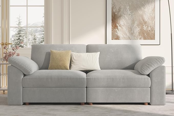 EASE MOOSE Comfty 2 Seat Couch, FSC Certified Modern Deep Seat Sectional Modular by EASEMOOSE