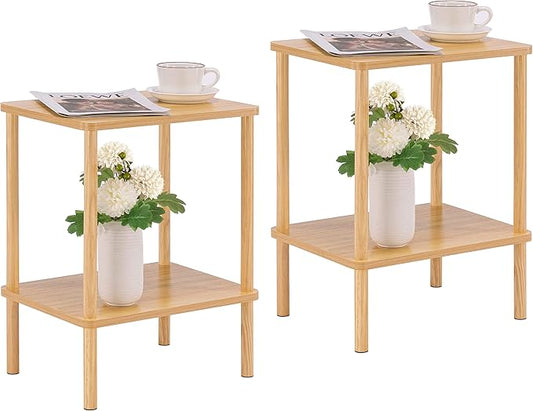 Apicizon 2 Tier End Table Set of 2, Small Side Table by APICIZON