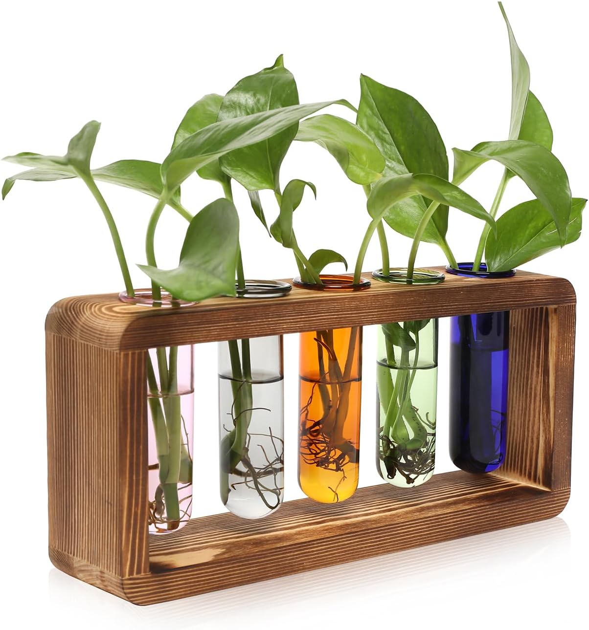 Glass Plant Propagation Station with 5 Test Tubes Colorful Planter Vase Birthday Gifts for Women in Wooden Stand