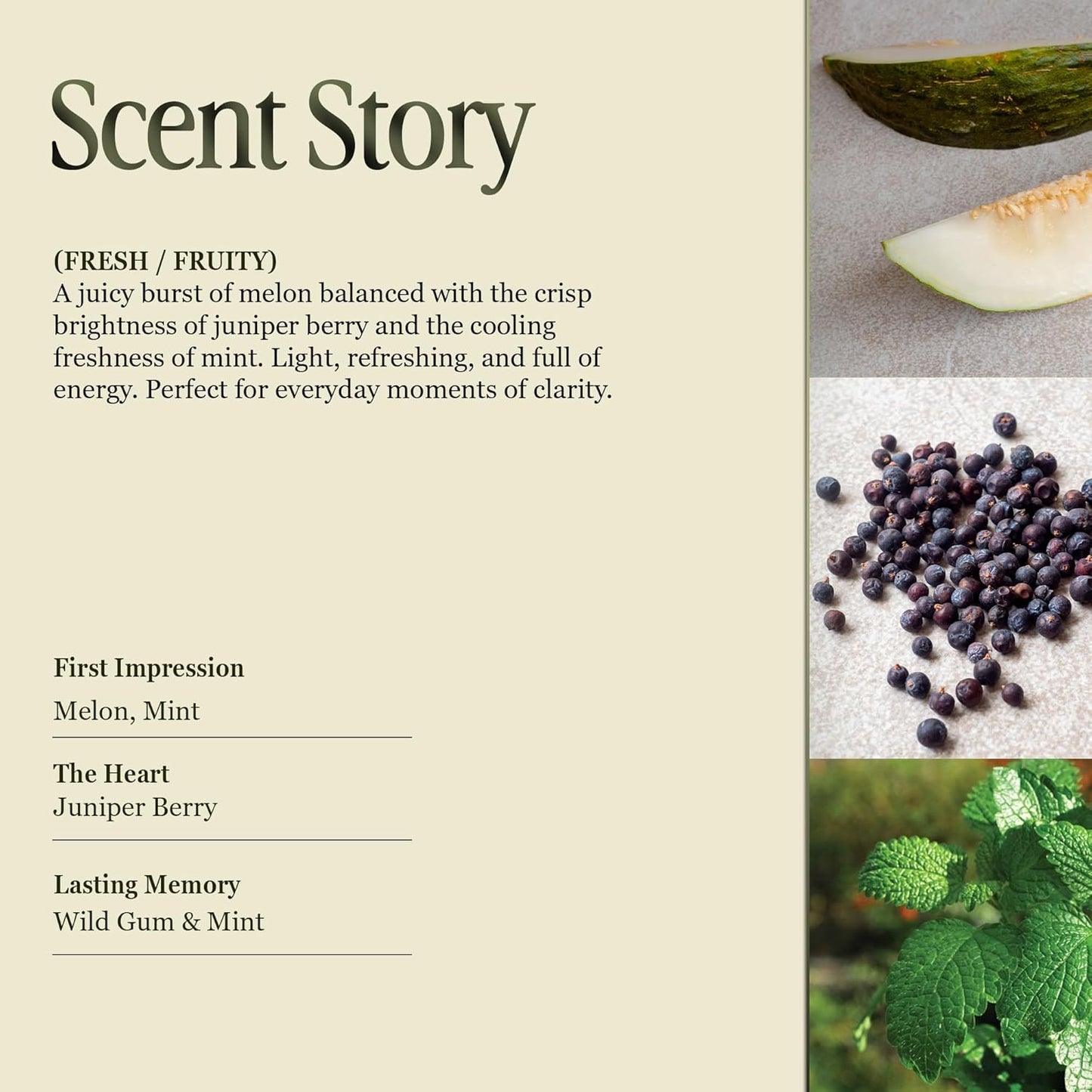 Scented Luxury Candles Outdoor Mosquito Bug Repellent Ceramic Jars, Soy Wax | The Green Life, Large Natural Candle - Green Melon & Peppermint | Non Toxic, 2 Wicks, Reusable Jar