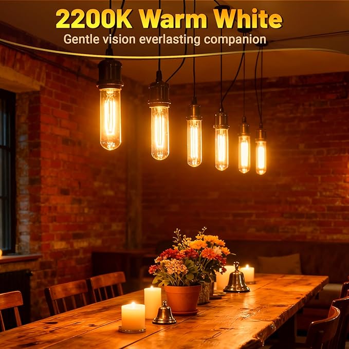 T10 Tubular Light Bulbs 60 Watt Incandescent Light Bulb, T10 Bulb, 120V 60W - Image 4