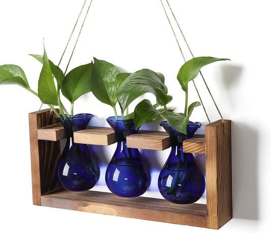 Plant Propagation Station Plant Terrarium Unique Birthday Gifts for Women Home Office Decor Planter with Wooden Stand - 3 Bulb Glass Vase