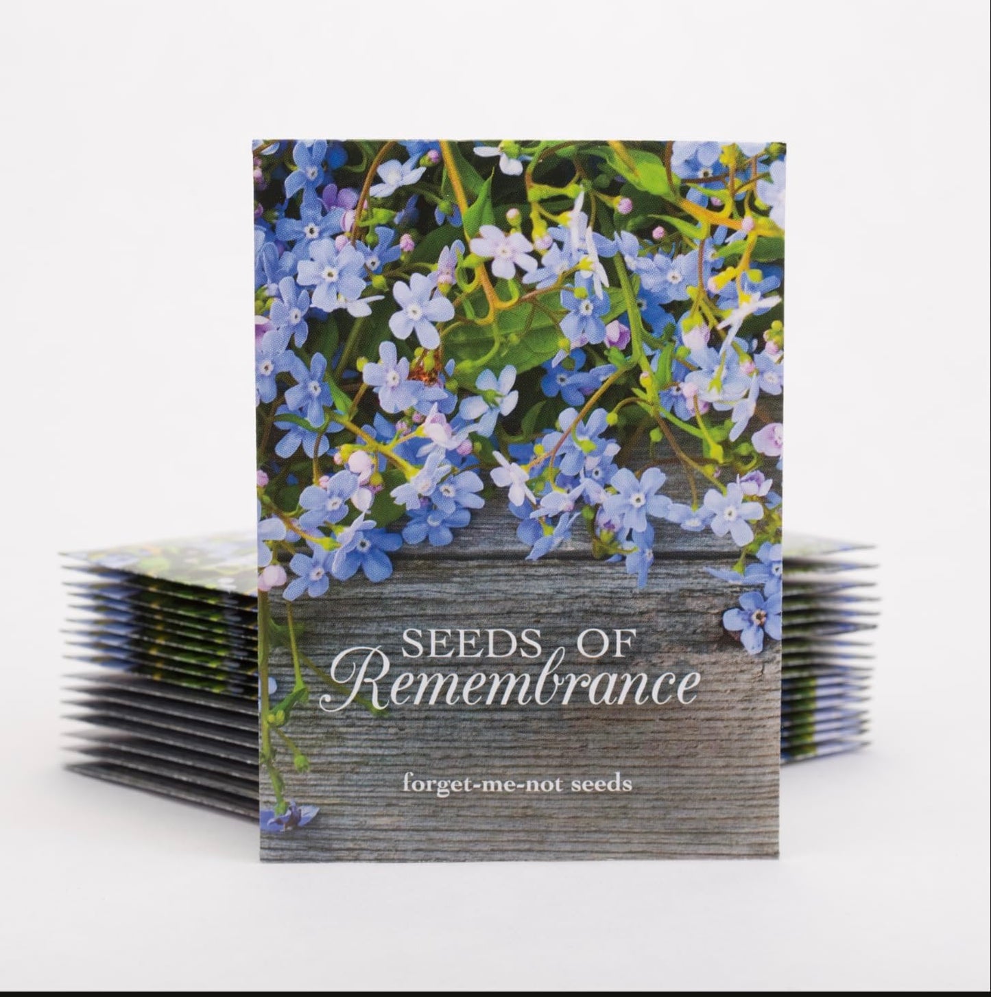 Bentley Seed Co. | Seeds of Remembrance | Pre Filled Non-GMO, Non-Coated Forget Me Not Seeds Packets | Perfect Memorial Service Giveaways and Celebration of Life Decorations | Pack of 25