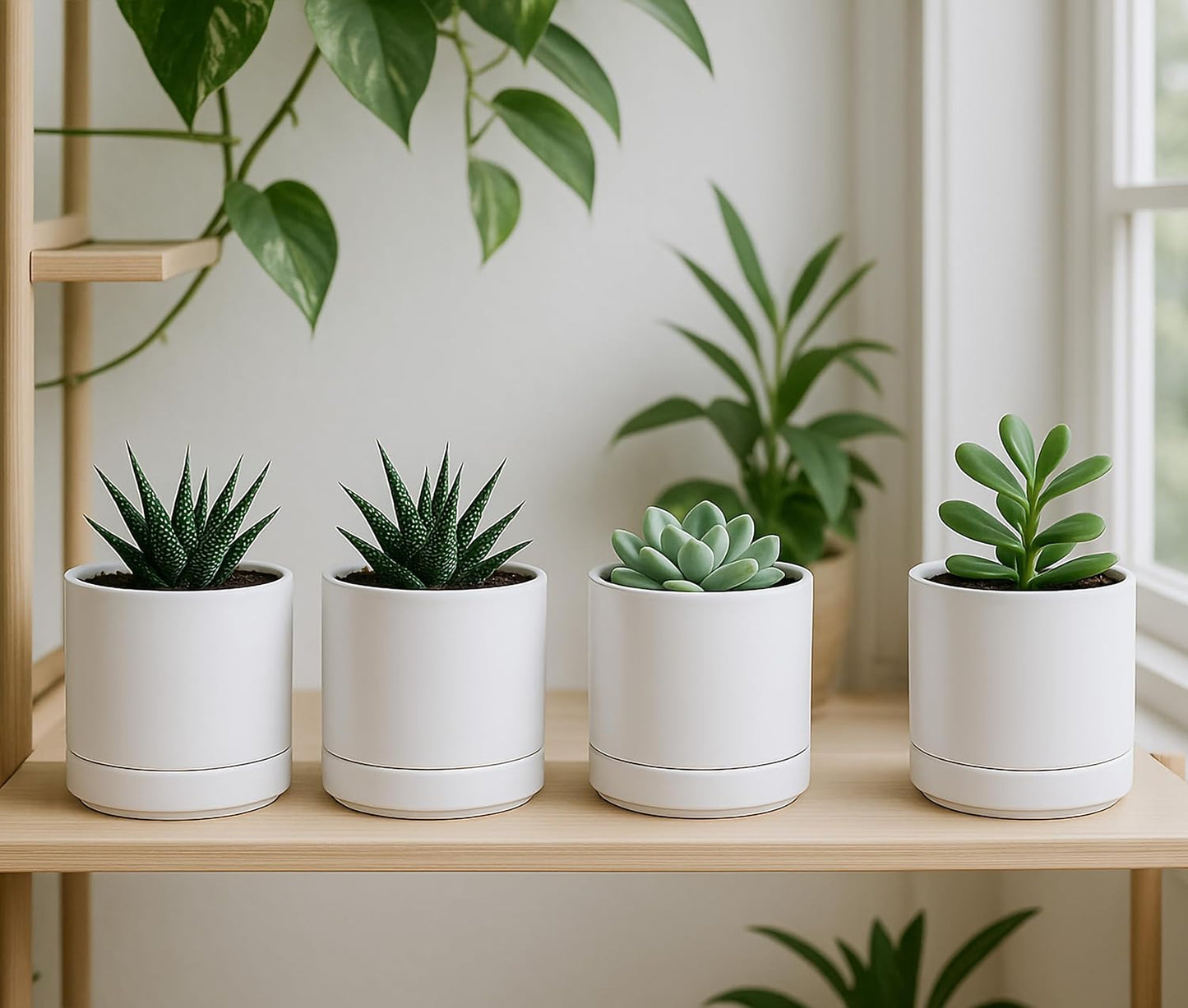 D'vine Dev Set of 4 Small Ceramic Plant Pots, 4.7 Inch Succulent Planter Pot for Plants with Drainage Hole and Saucer, White, 94-X-B-1